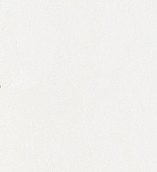 Обои под старые стены Bernardo Bartalucci Gaga  84284-4