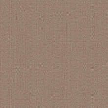 Однотонные коричневые обои (фон) Alessandro Allori Bruni 1002-19 RBN